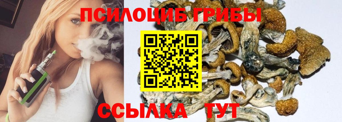 Псилоцибиновые грибы мухоморы  сколько стоит  Сибай  Галлюциногенные грибы GOLDEN TEACHER  Вход с VPN 